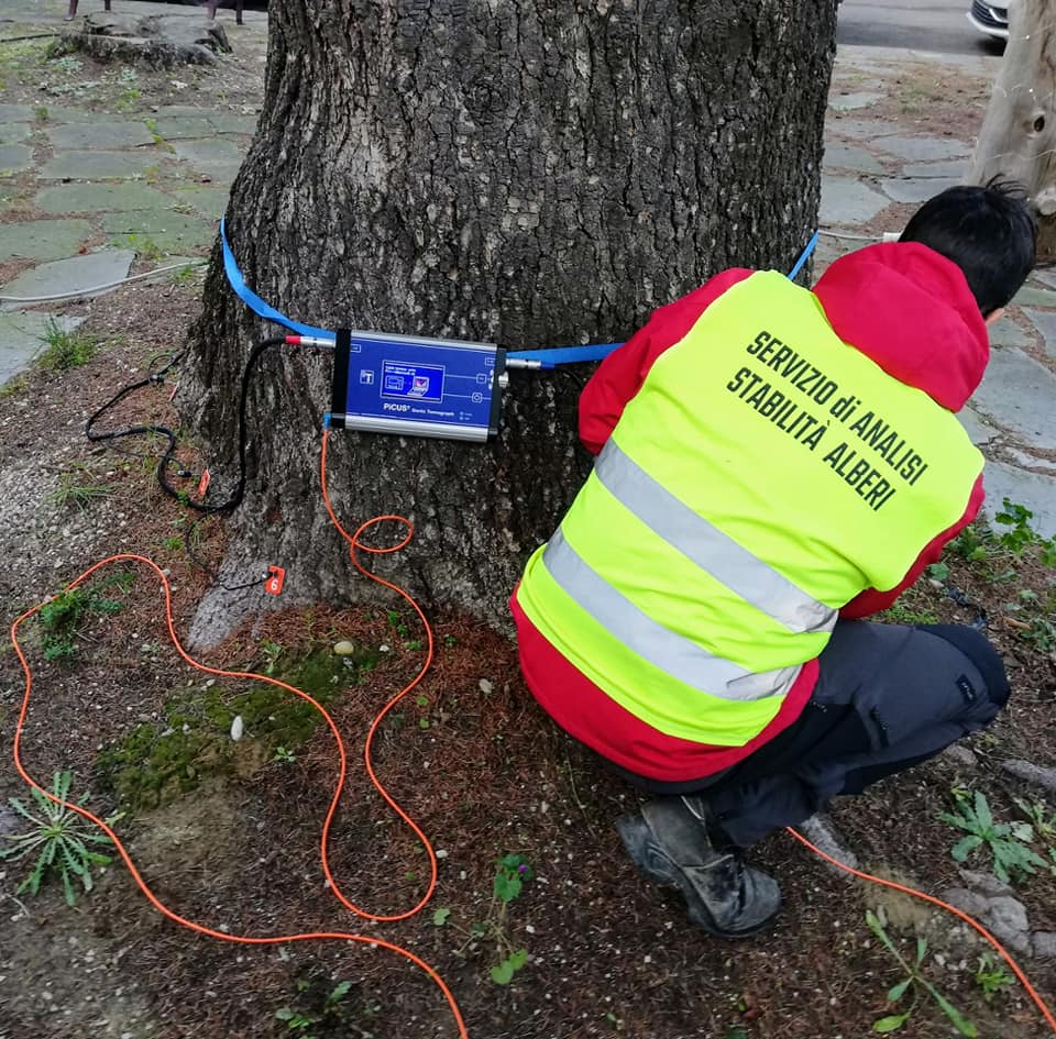 INTERVENTI DI CURA E GESTIONE DEL VERDE URBANO